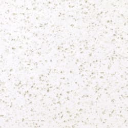 Tempest Peak FP100 CloseupÿTempest Peak FP100 Panel