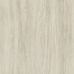 Tafisa_Prelude_Niagara_L544_A_T544_AT_CL