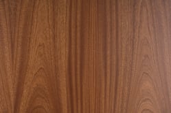 Murphy_HP_Sapele_02