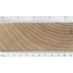 wood_species_ash_endgrain