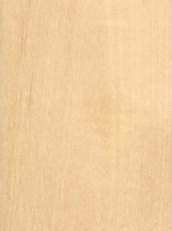 wood_species_birch_paper redirect to product page