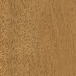 Wood_Species_Mahogany_Honduran_SealedÿWood_Species_Mahogany_HonduranÿWood_Species_Mahogany_Honduran_Endgrain