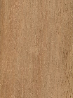 wood_species_meranti_light_red_sanded