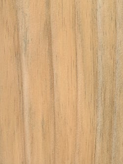 Wood_Species_Pine_Radiata
