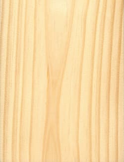 Wood_Species_Pine_Southern_Yellow_Sanded