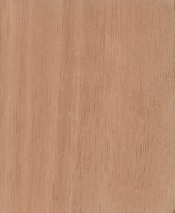wood_species_red_grandis