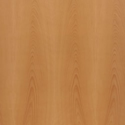 Birch-PS-A-SapÿBirch-PS-A-Sap-PanelÿVeneer_Cuts_Plain_Slicing
