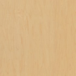 Maple-WP-A-SapÿMaple-WP-B-Sap-PanelÿDP_Particleboard_Core_Labelled