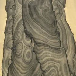 GL_Veneers_Ziricote_Plain_Sliced