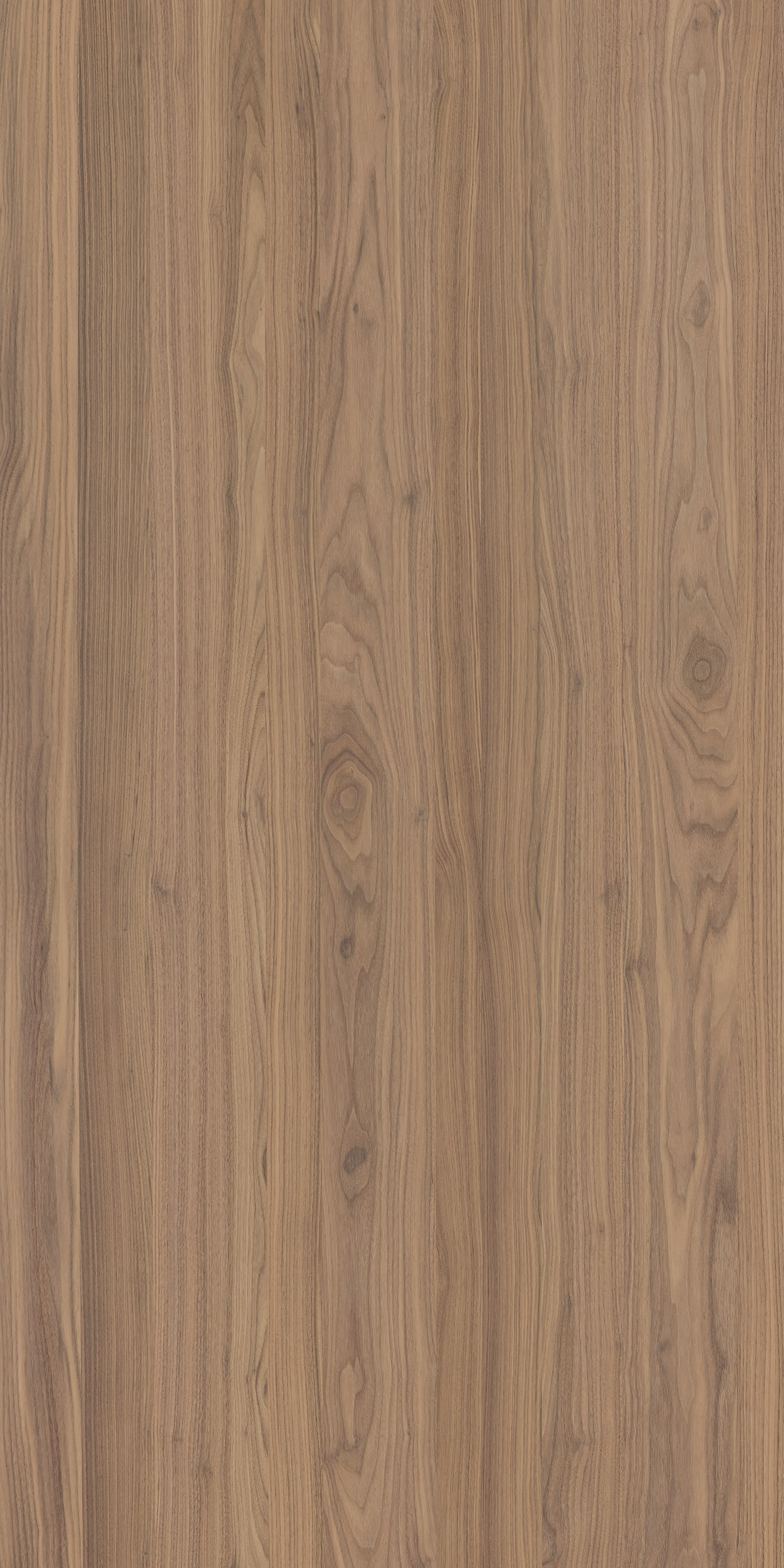 Hardwoods | S4-PA1S-07