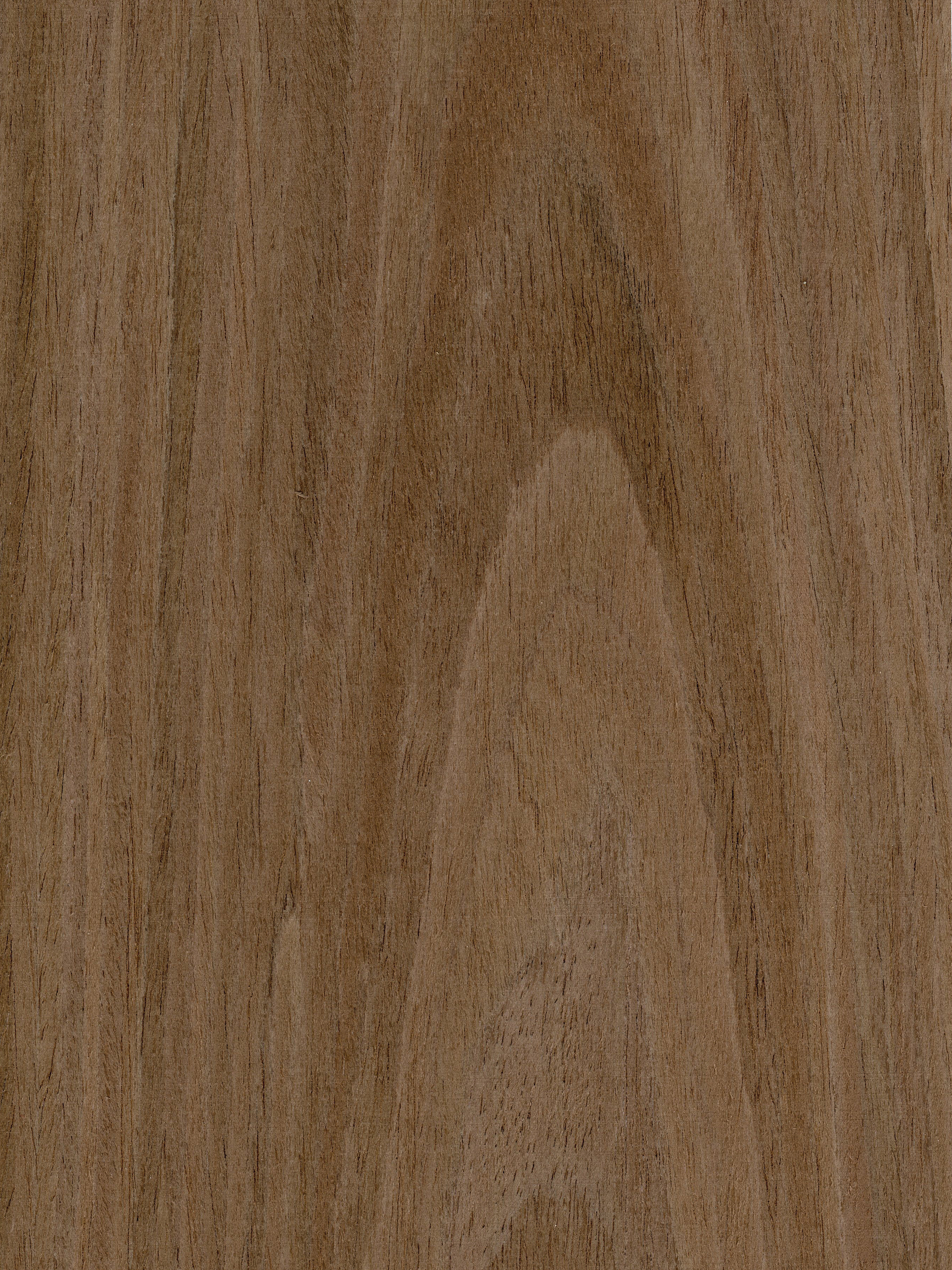 Hardwoods | Echo Wood
