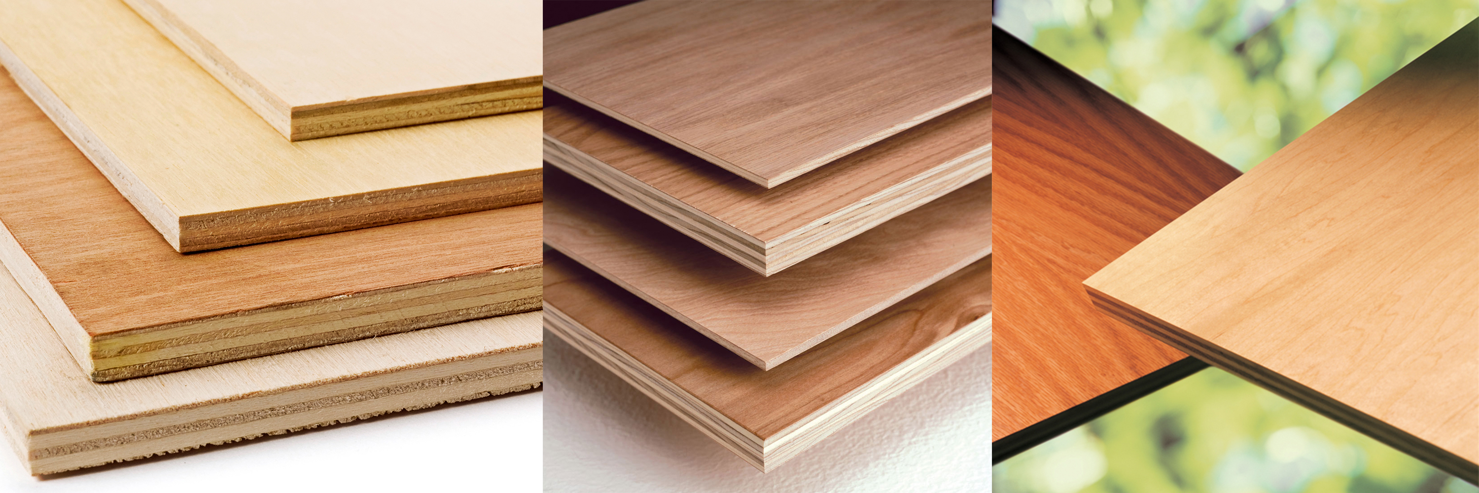 Rugby Hardwood Plywood