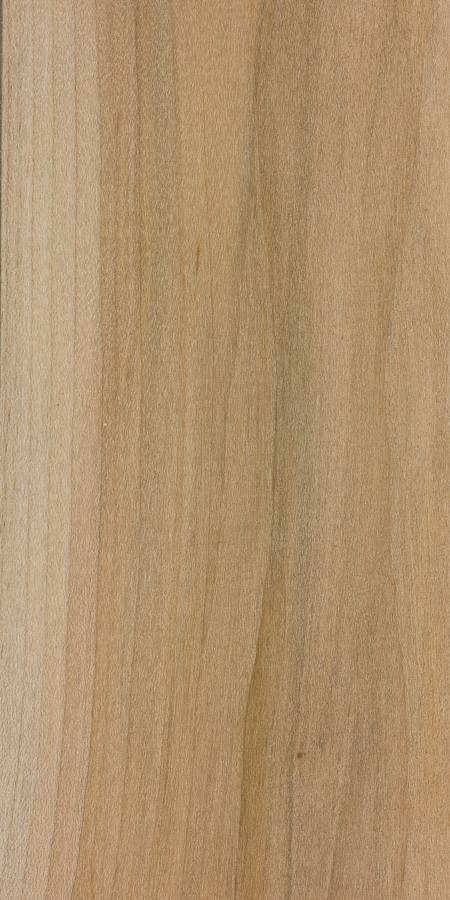 Clear Maple  Panolam Surface Systems