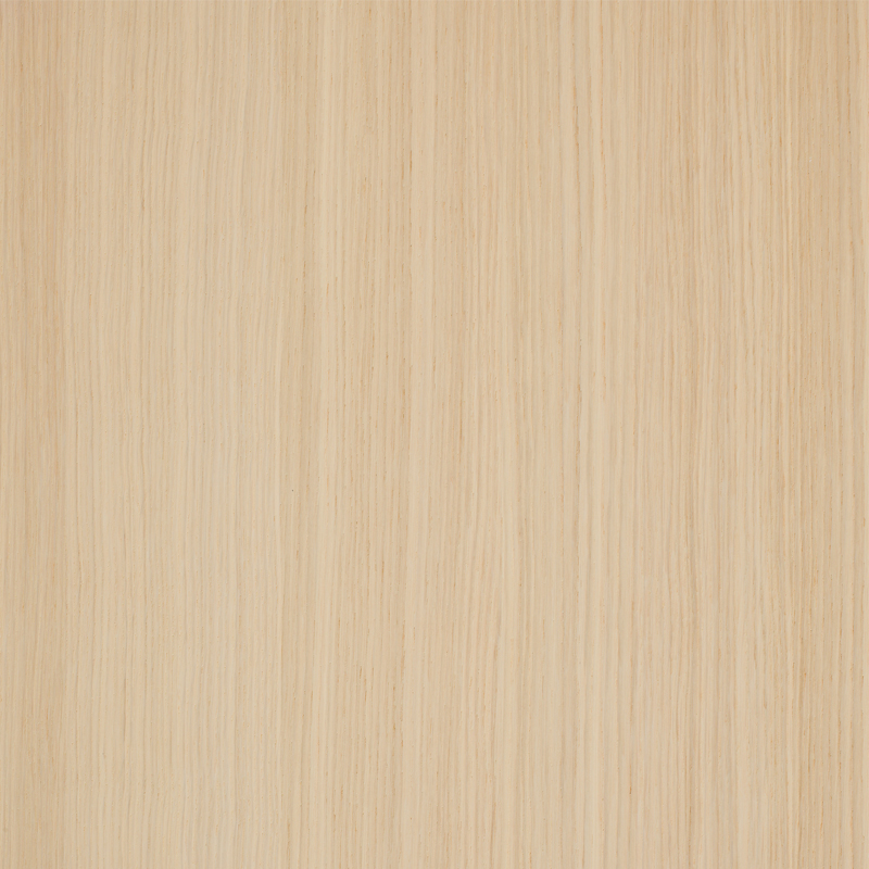 Hardwoods | S-ED24-03