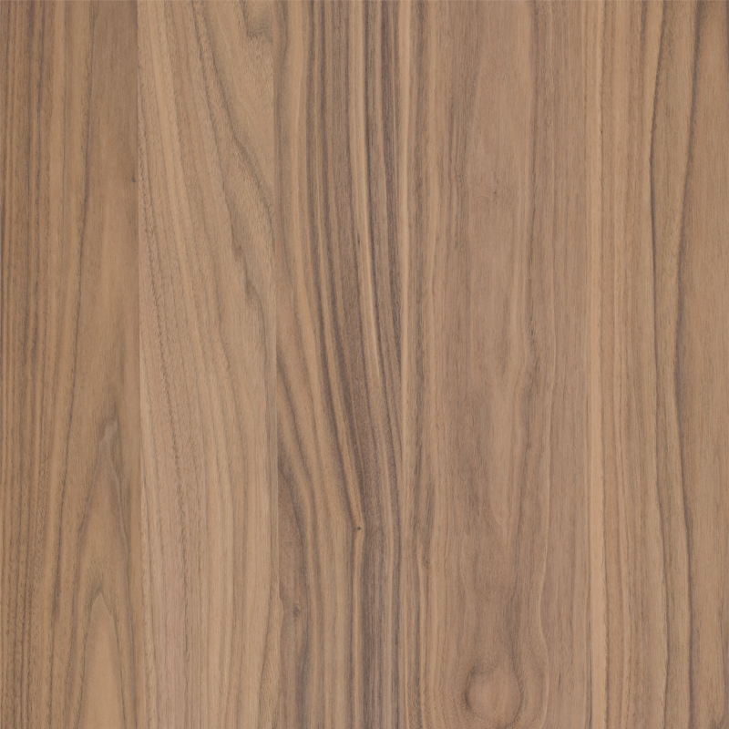 Hardwoods | S-ED24-19