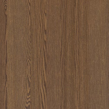 12 cinnanon triba plaat 350x350 12