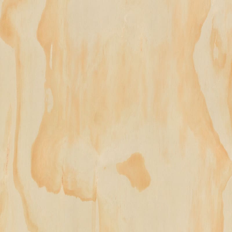 8 Wild Pine 800x800 1