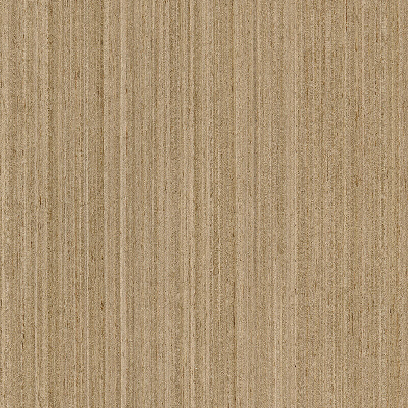 5 Qtr. Champagne Coated Champ