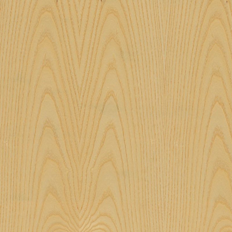 Columbia FP Ash PS A Closeup