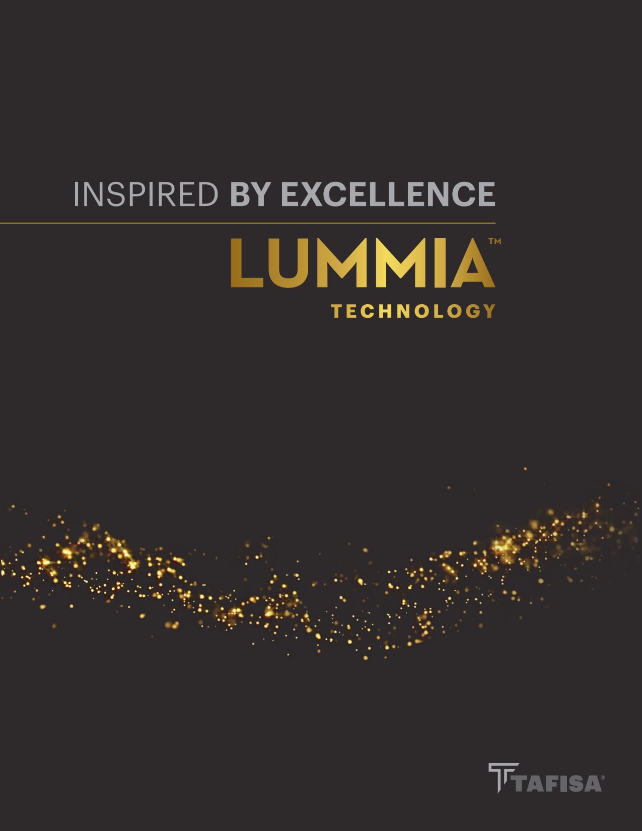lummia2024cover