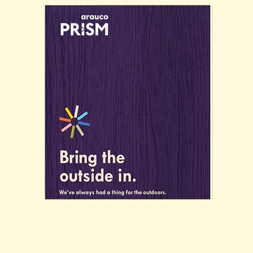 araucocoverimage2025