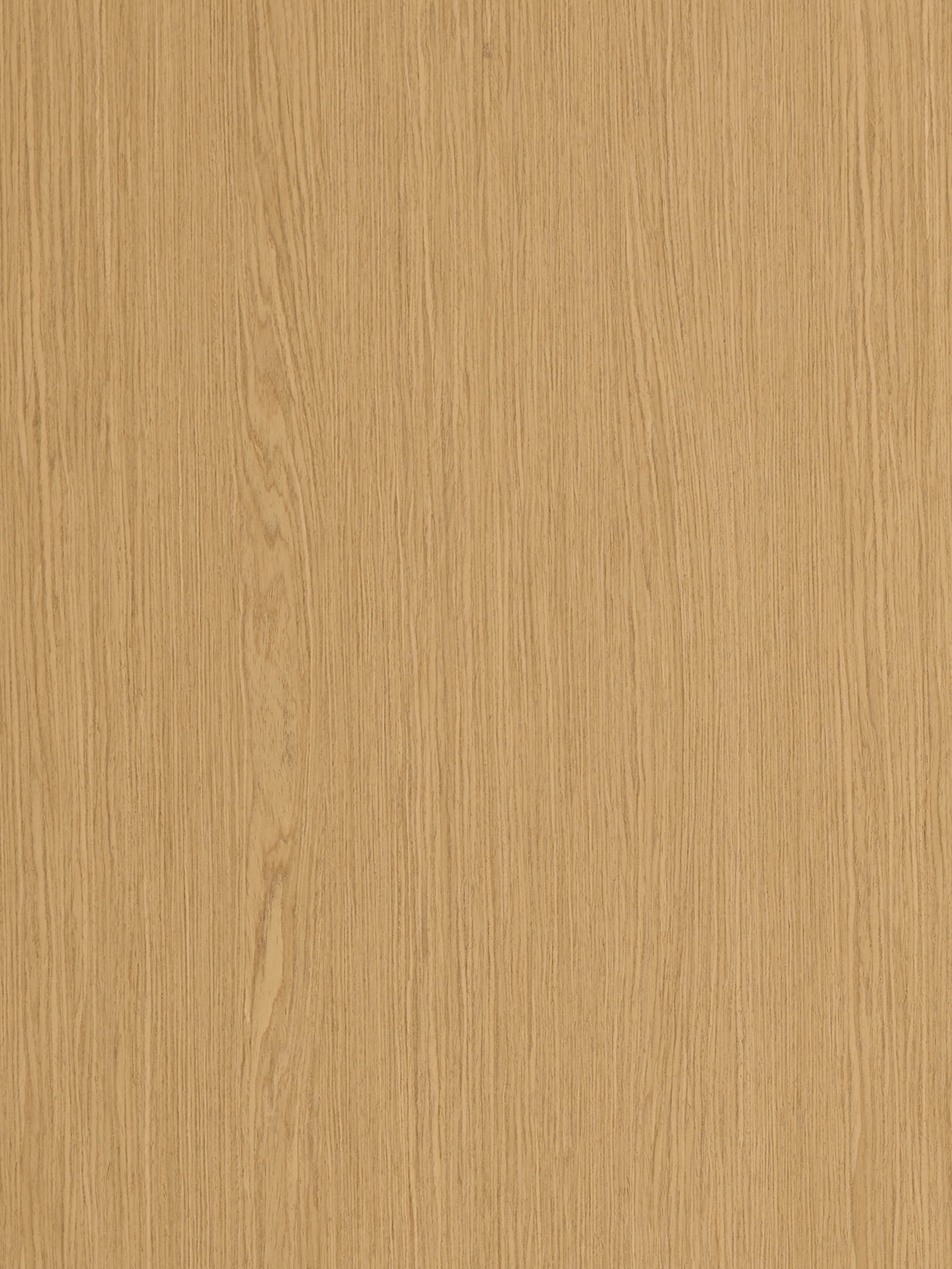 Ivory Timber Ivory Infinite Oak - DesignOneSource