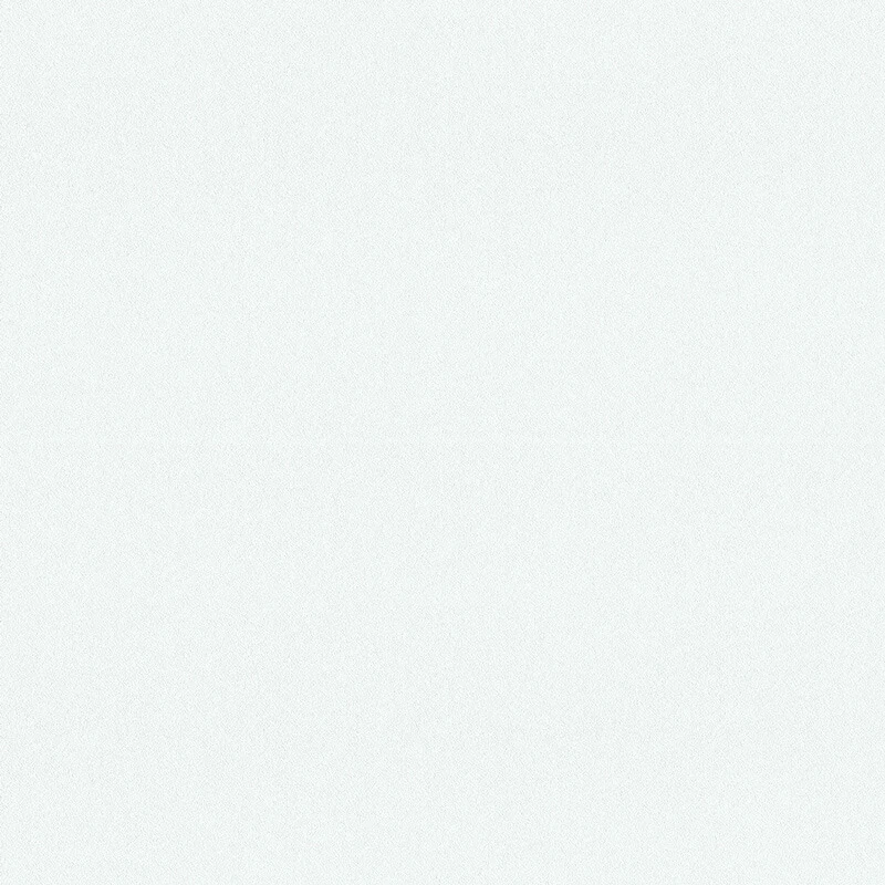 White W300