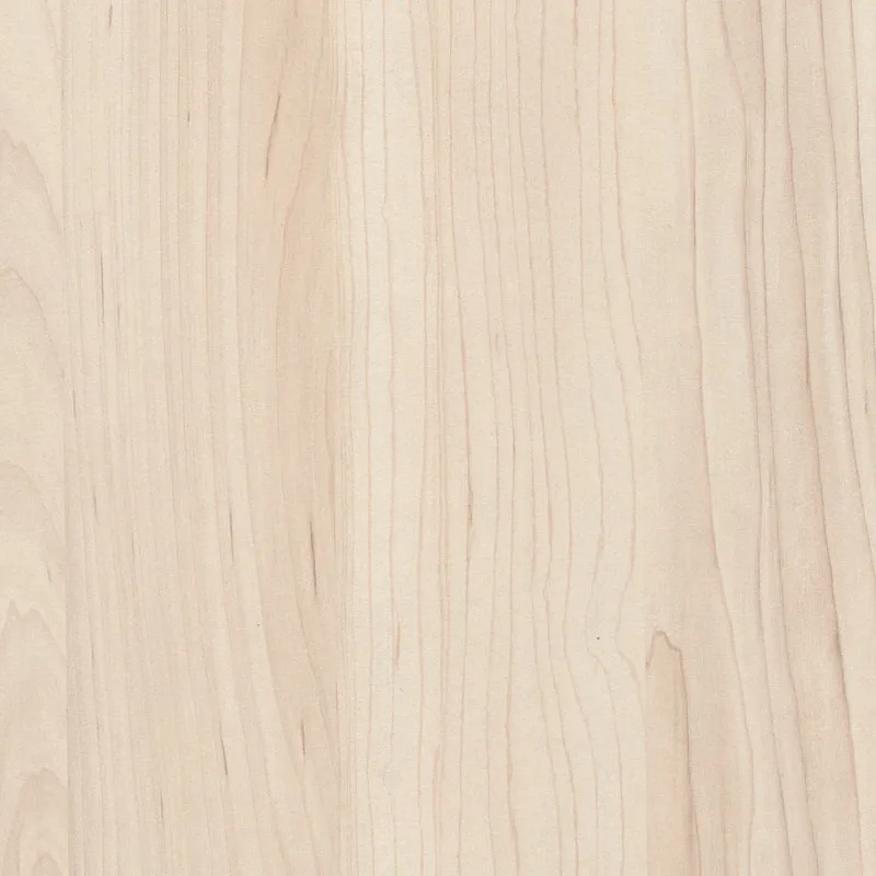 Champagne Hard Maple (ST9)