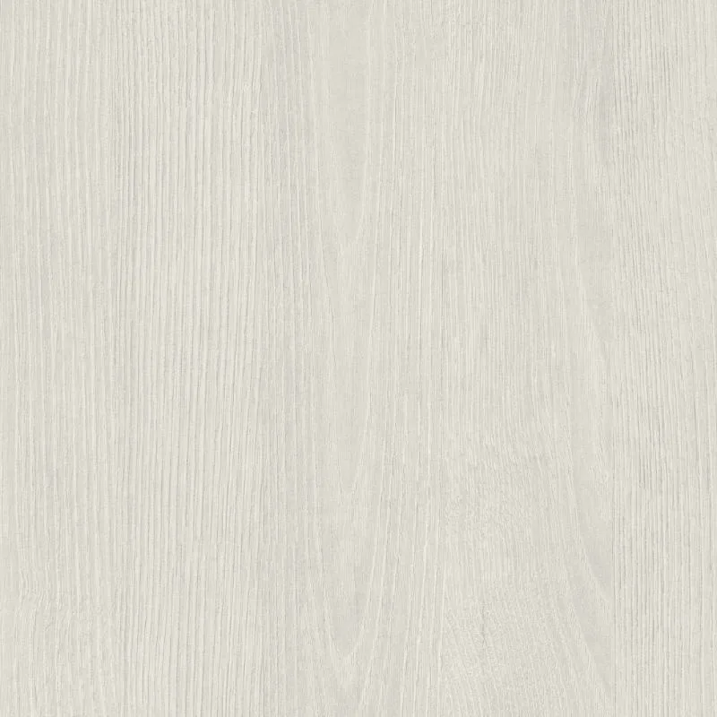 White Frozen Wood