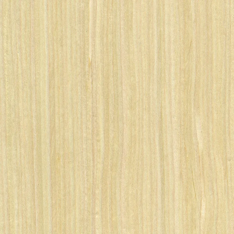 Qtr Maple