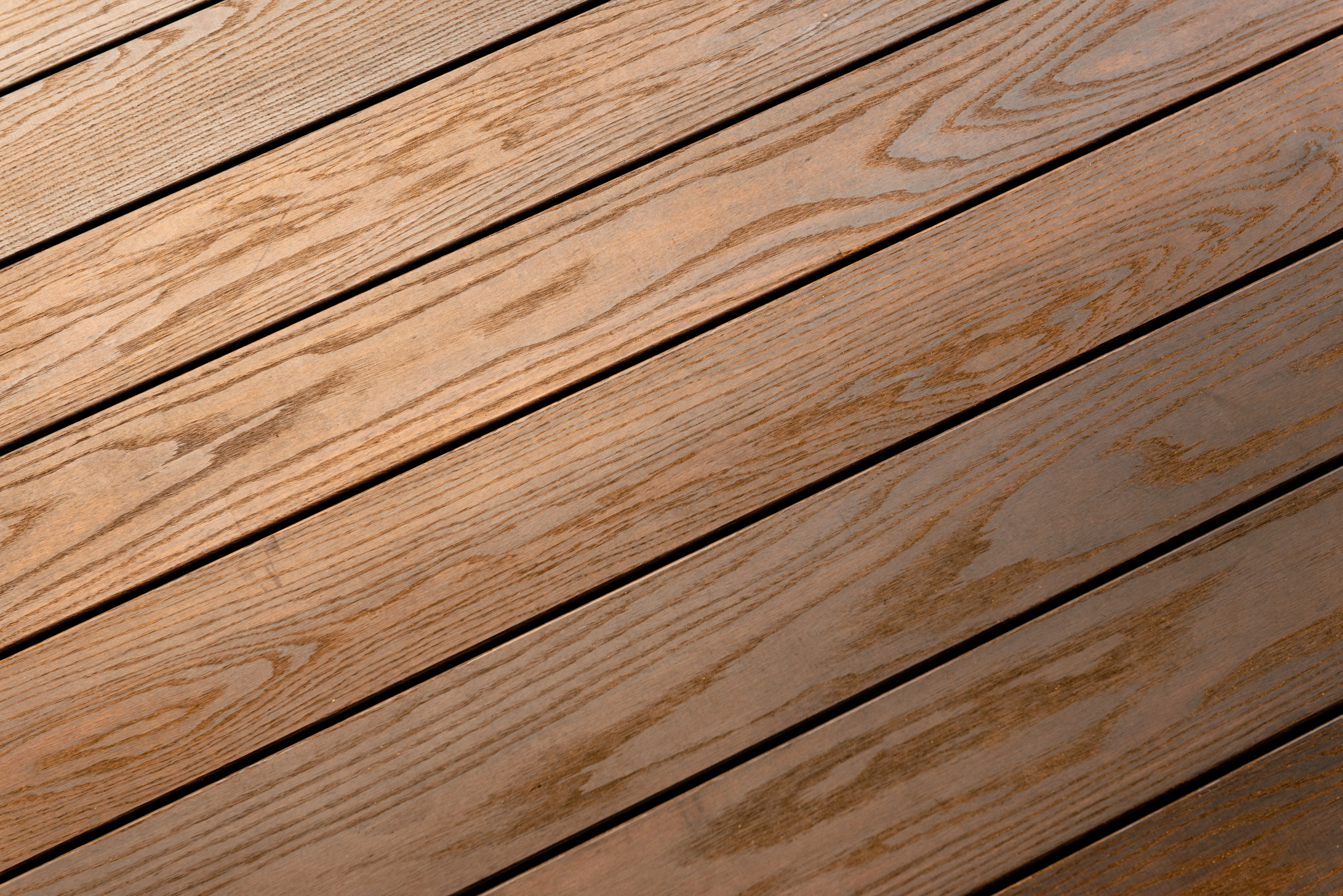 Americana Ash - Image 3