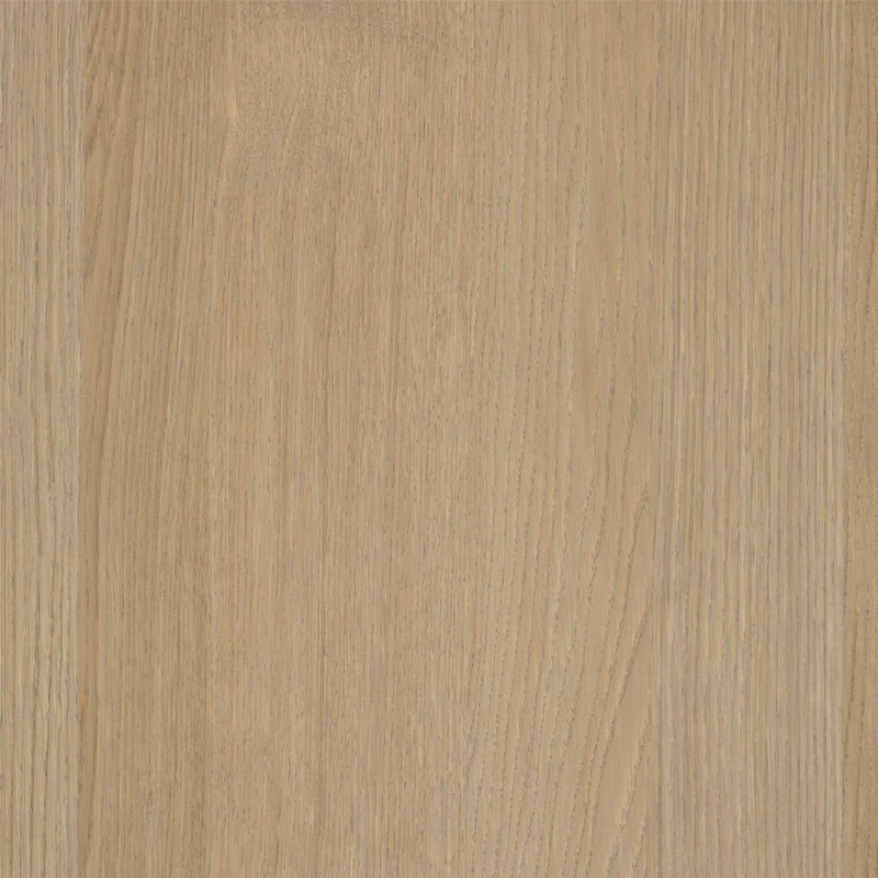 Desert Oak (A)