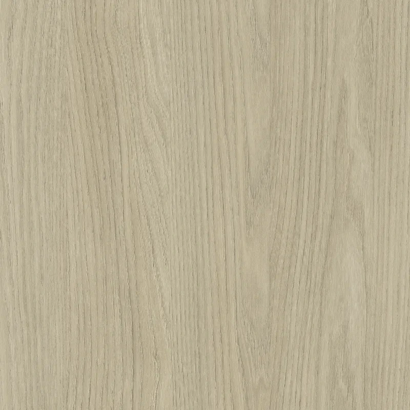 Endless Elm Madera 1 Endless Elm Madera