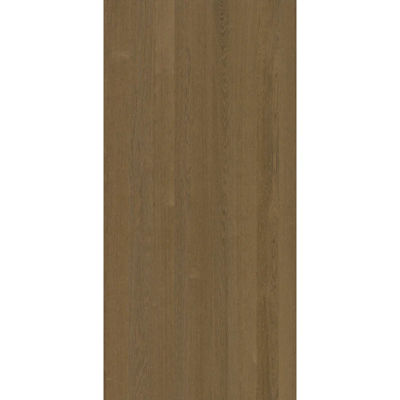 Cammello - Image 2