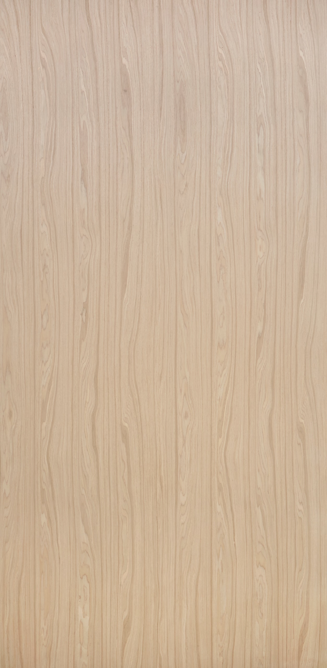 EW_GL_8833N_Desert_Acacia_Panel