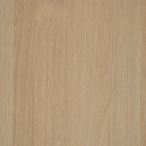 Desert Oak Desert Oak