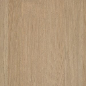 Shinnoki-desert-oak-closeup