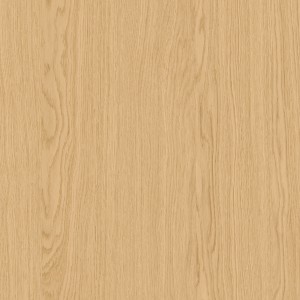 Ivory Oak 2