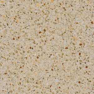 Tempest Caraway Tempest Caraway