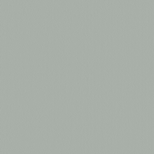 Fog Grey Fog Grey