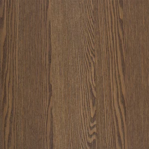 cinnamon（プロフ要読 ） Cinnamon Triba - DesignOneSource