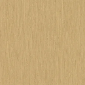 Adagio Infinite