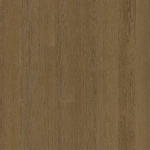 Cammello