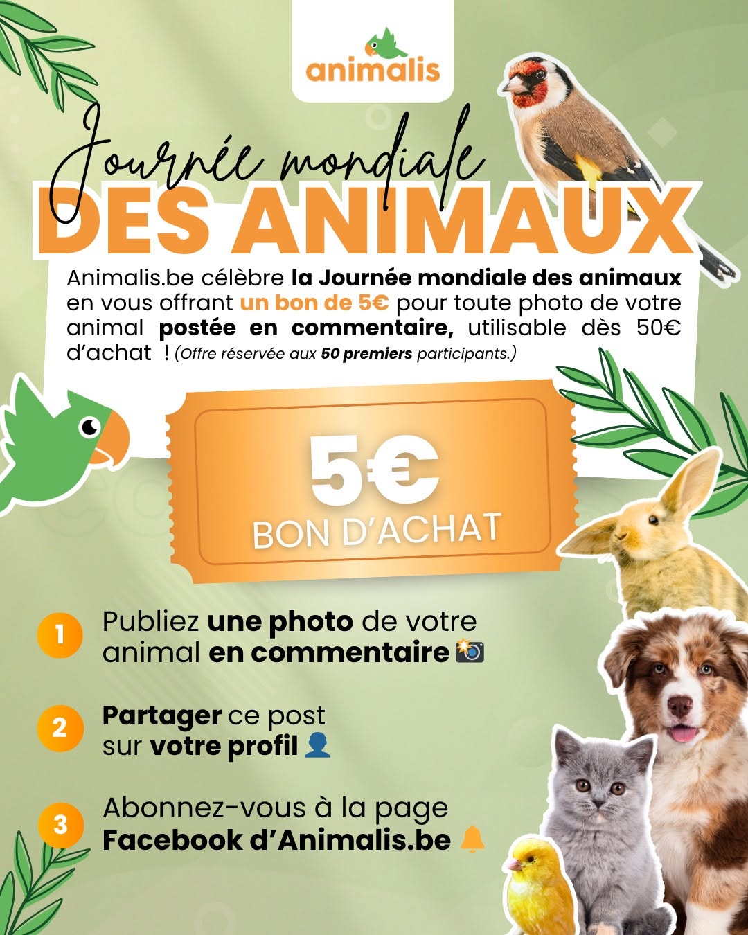 Aperçu de création Animalis.be
