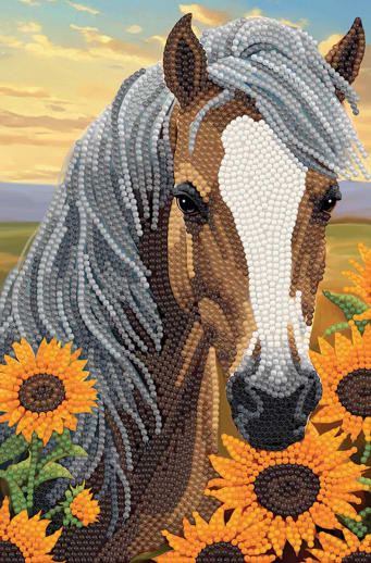 Crystal Art Notebook: Horse