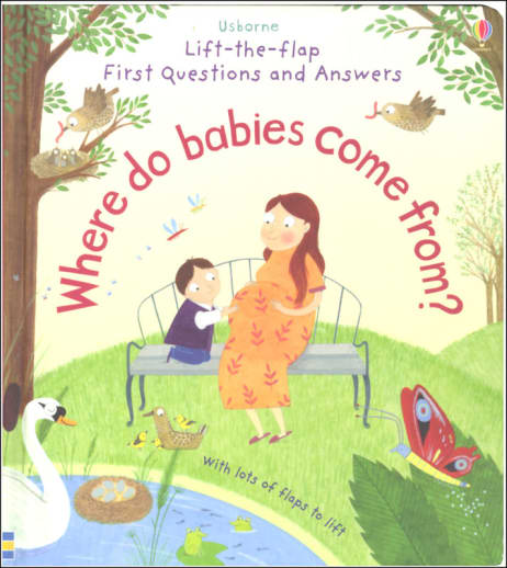 Where Do Babies Come From? (Lift-the-Flap First Questions and Answers)