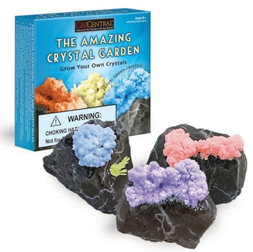 Amazing Crystal Garden