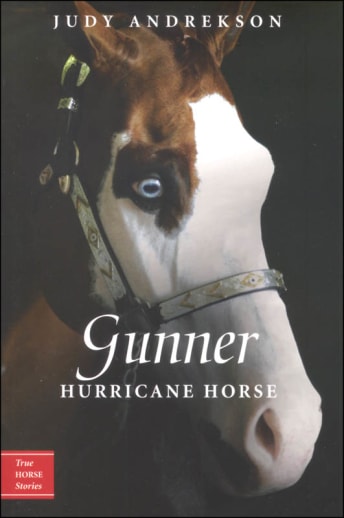 Gunner: Hurricane Horse by Judy Andrekson (True Horse Stories)