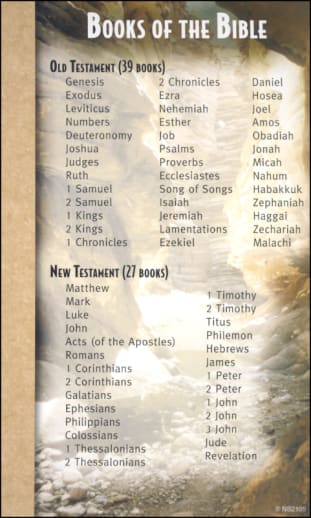 Mind & Heart Memory Cards - Books of the Bible