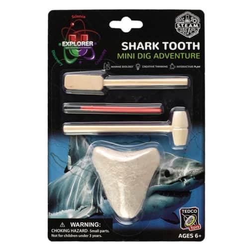 Shark Tooth Dig